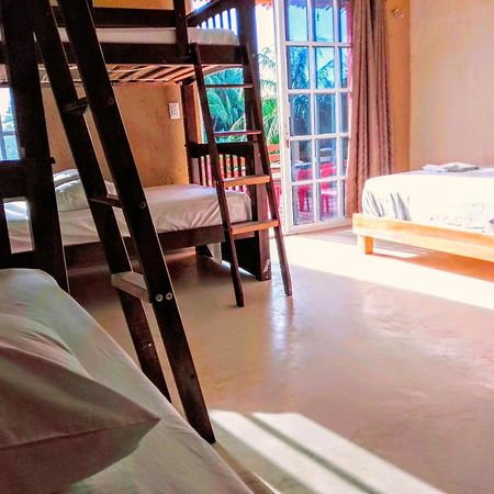 Tribe Beachville 埃尔库约 外观 照片