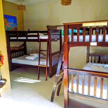 Tribe Beachville 埃尔库约 外观 照片