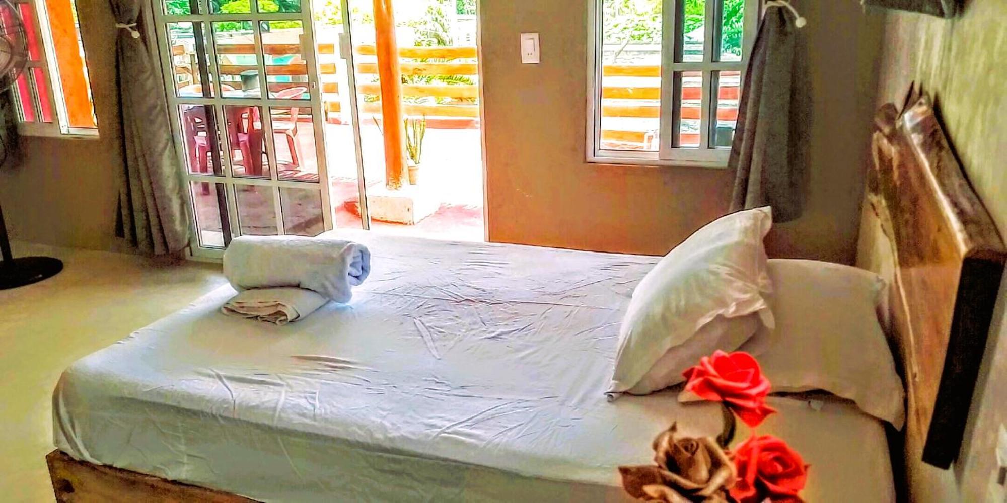 Tribe Beachville 埃尔库约 外观 照片